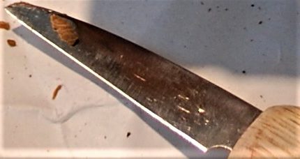 Close up of Roughing knife blade