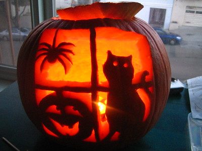 pumpkin carving of a cat in a window with spider and jock-o-lantern
